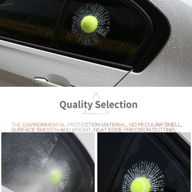 prank car sticker