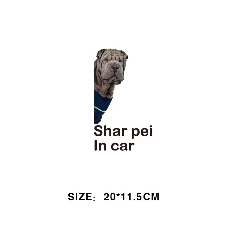 Cat Car Sticker
