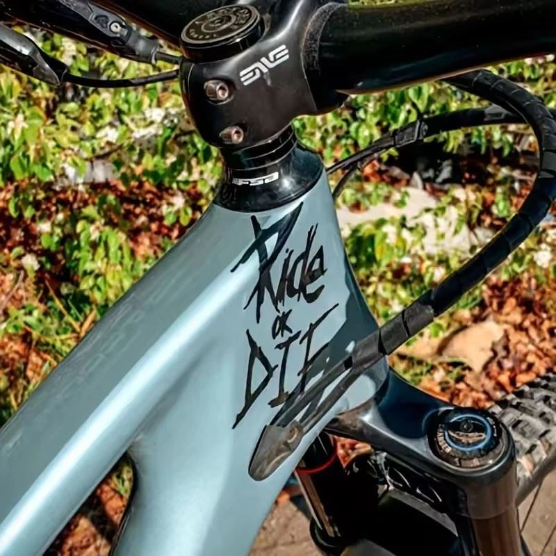 ‌RIDE OR DIE VINYL STICKER