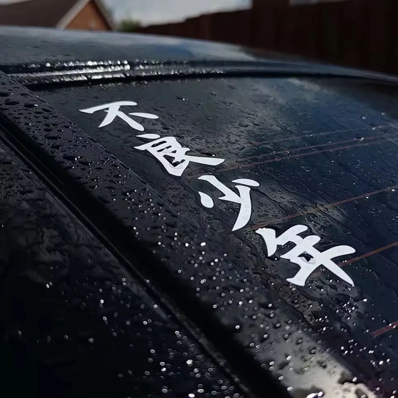 Bad Boy --Chinese Japanese Writing Vinyl Sticker