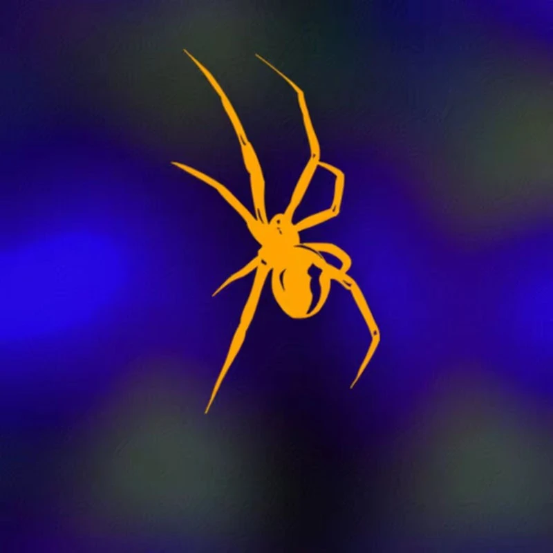 Spider Pattern Sticker For Car