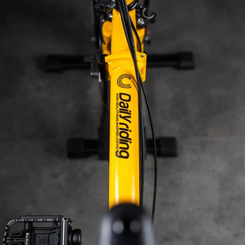 Daily City Riding Bike Frame Sticker best