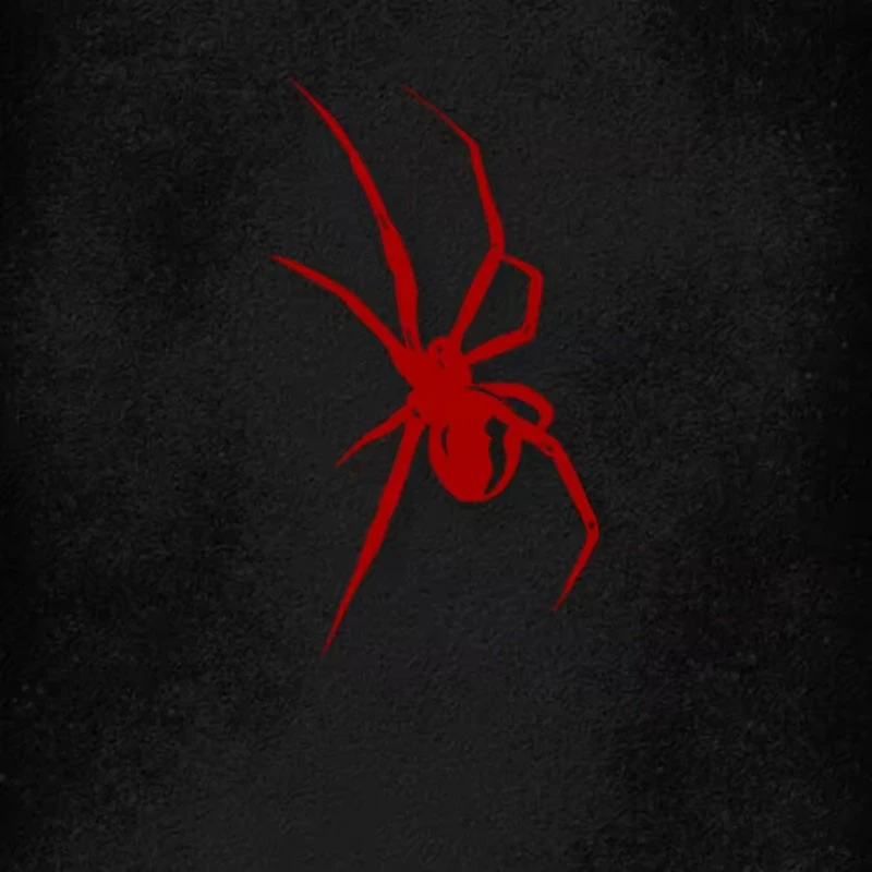 Colored Spider Motorcycle Stickers