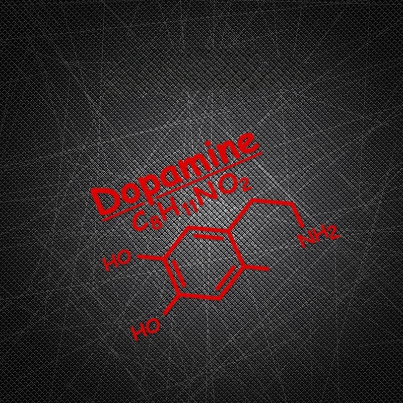 Motorcycle Stickers Dopamine C8H11NO2 Decals price