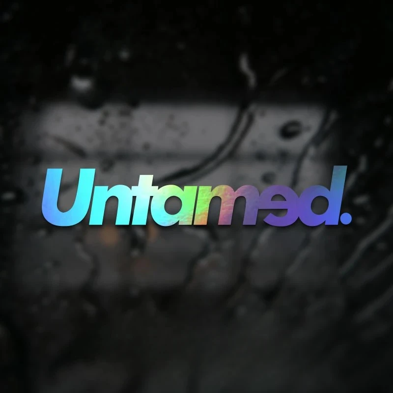 Untamed Car Front Rear Windows Stickers price